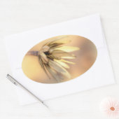 Sticker Ovale Tulip Poplar Graine vide Pod (Enveloppe)