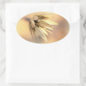 Sticker Ovale Tulip Poplar Graine vide Pod (Sac)