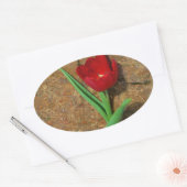 Sticker Ovale Tulipe jaune et rouge (Enveloppe)