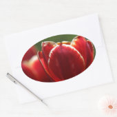 Sticker Ovale Tulipes (Enveloppe)