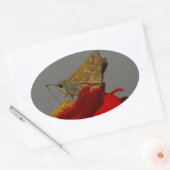 Sticker Ovale Tumeaux et Zinnia rouge (Enveloppe)