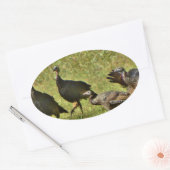 Sticker Ovale Turquie sauvage, couleurs du Camouflage (Enveloppe)