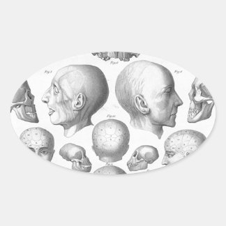Sticker Ovale Types de crâne