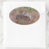Sticker Ovale Un cerf dans l'herbe haute (Sac)