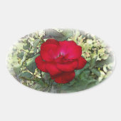 Sticker Ovale Un rose solitaire (Devant)