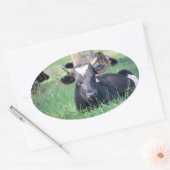 Sticker Ovale Vache (Enveloppe)