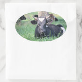 Sticker Ovale Vache (Sac)
