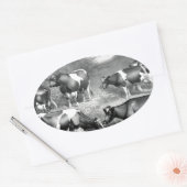Sticker Ovale Vaches libres Holstein vaches frey (Enveloppe)