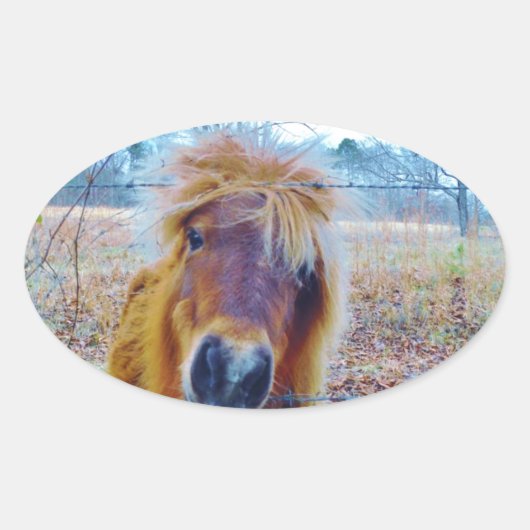 Sticker Ovale Valentine Heart Horse (Devant)