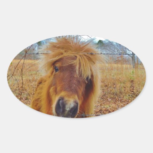 Sticker Ovale Valentine Heart Miniature Brown Horse (Devant)