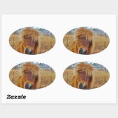 Sticker Ovale Valentine Heart Miniature Brown Horse (Feuille)