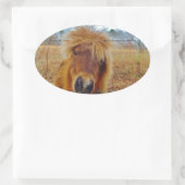 Sticker Ovale Valentine Heart Miniature Brown Horse (Sac)
