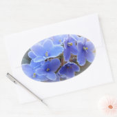 Sticker Ovale Violettes africaines bleues (Enveloppe)