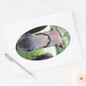 Sticker Ovale Visage de cheval (Enveloppe)