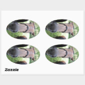 Sticker Ovale Visage de cheval (Feuille)