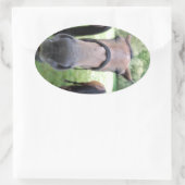 Sticker Ovale Visage de cheval (Sac)