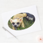 Sticker Ovale Whiz Kid (Enveloppe)
