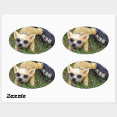 Sticker Ovale Whiz Kid (Feuille)
