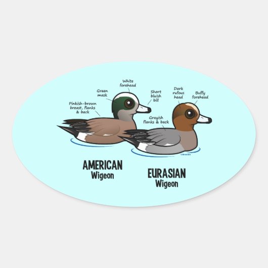Sticker Ovale Wigeon contre Wigeon (Devant)