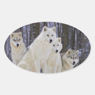 Sticker Ovale Wolf Family