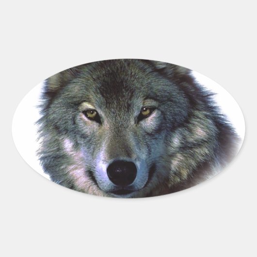 Sticker Ovale Yeux de loup gris (Devant)