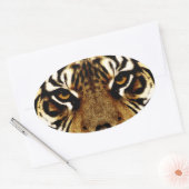 Sticker Ovale Yeux d'un tigre (Enveloppe)