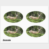 Sticker Ovale Yosemite Deer Nature Photographie (Feuille)