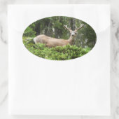 Sticker Ovale Yosemite Deer Nature Photographie (Sac)