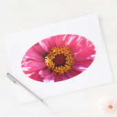 Sticker Ovale Zinnia rose (Enveloppe)