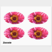 Sticker Ovale Zinnia rose (Feuille)
