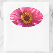 Sticker Ovale Zinnia rose (Sac)
