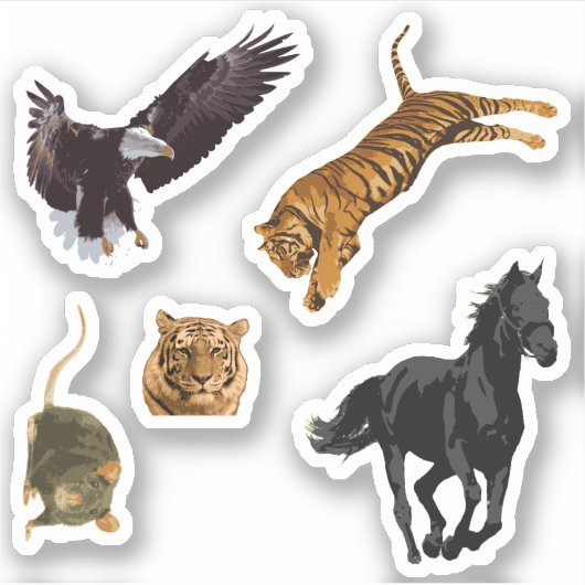 Sticker Pack Animaux Assortis (Devant)
