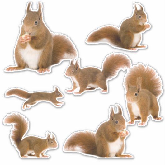 Sticker Pack d'autocollants (Devant)