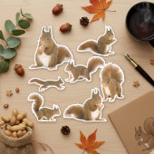 Sticker Pack d'autocollants