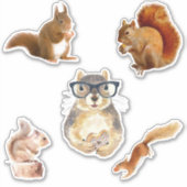 Sticker Pack d'autocollants d'écureuil mignonne (Devant)