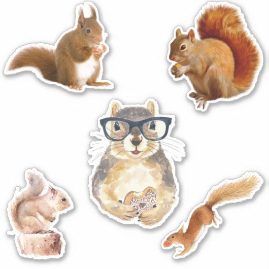 Sticker Pack d'autocollants d'écureuil mignonne (Devant)