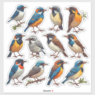 Sticker Pack d'autocollants d'illustration d'oiseau de pri