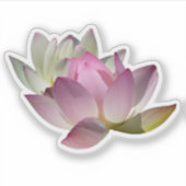 Sticker Paire de fleurs de Lotus II (Devant)