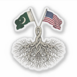 Sticker Pakistano-Américain