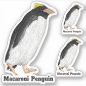 Sticker Palaeeudyptes Pingouin disparu (Devant)