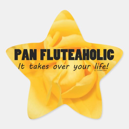 Sticker Pan Fluteaholic Life Star (Devant)