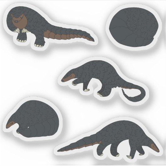 Sticker Pangolins à ventre noir (Devant)