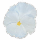 Sticker Pansy blanc (Devant)