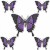 Sticker Papillon (Devant)