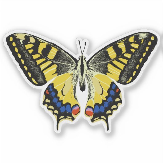 Sticker Papillon à queue épaisse de tigre (Devant)