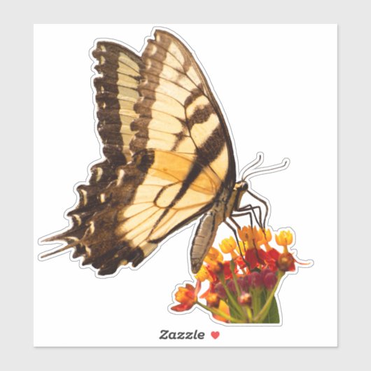 Sticker Papillon à queue noire sur la fleur d'algue (Feuille)