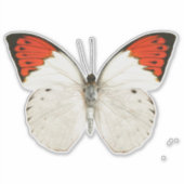 Sticker Papillon blanc et rouge (Devant)