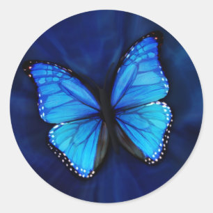 Sticker papillon bleu