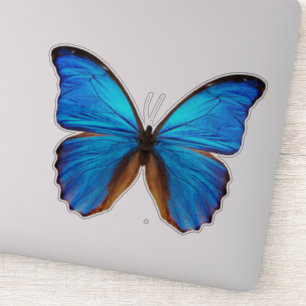 Sticker Papillon bleu 2
