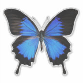 Sticker Papillon bleu 3 (Devant)